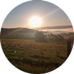 Profile photo of Jeffrey Mongold