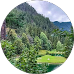 Profile photo of Dile T