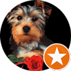 Profile photo of Tammy Gurwell