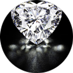 Profile photo of ivan jam