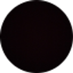 Profile photo of Morgan Daymude