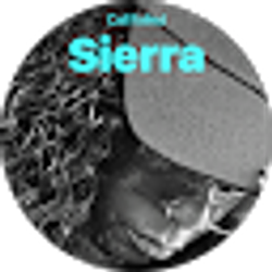 Profile photo of Sierra Nelson