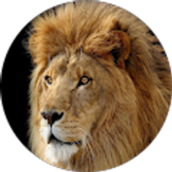 Profile photo of The sunrise Driver