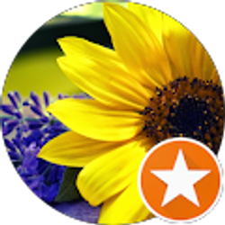 Profile photo of Rachael Goedert