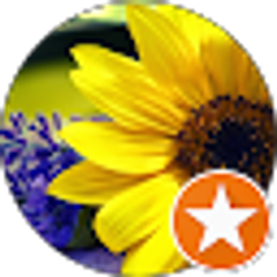 Profile photo of Rachael Goedert