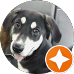 Profile photo of Elizabeth B.