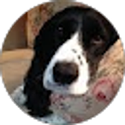 Profile photo of Sally Williams