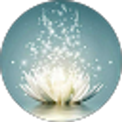 Profile photo of KL