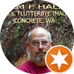 Profile photo of Tim Hale