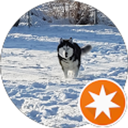 Profile photo of LD Nick