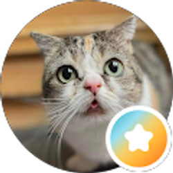Profile photo of Amy Mitchell