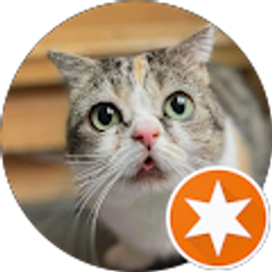 Profile photo of Amy Mitchell