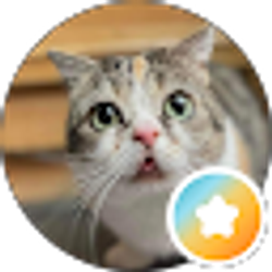 Profile photo of Amy Mitchell