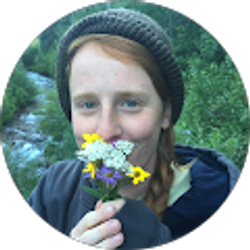 Profile photo of Jo Shipe