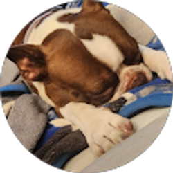 Profile photo of Rita Bennett