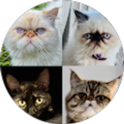 Profile photo of Jorge Alatriste