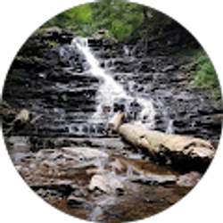 Profile photo of Kenneth