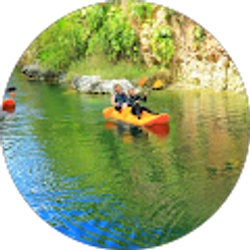 Profile photo of Doris Melotti