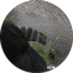Profile photo of Lenah Kaye