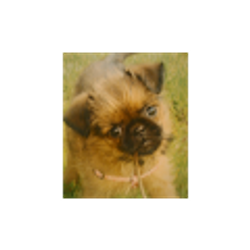 Profile photo of Bonnie cooley