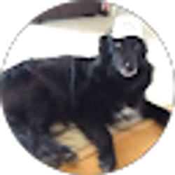 Profile photo of Christine Richey