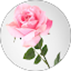 Profile photo of Rosalinda Contreras