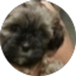 Profile photo of em me