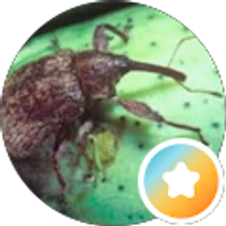 Profile photo of Darwin Anderson