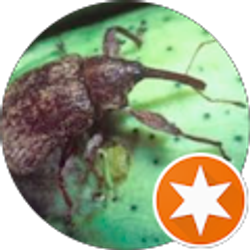 Profile photo of Darwin Anderson