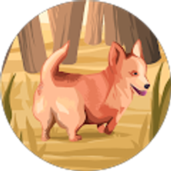 Profile photo of John Matthews