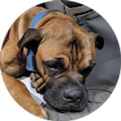 Profile photo of Keiley Kemmerlin