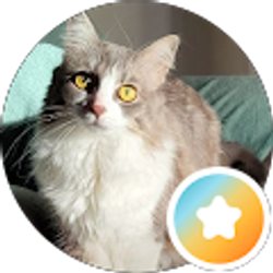 Profile photo of Kimmy C.