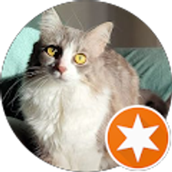 Profile photo of Kimmy C.