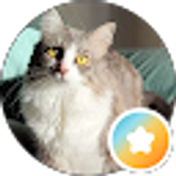 Profile photo of Kimmy C.