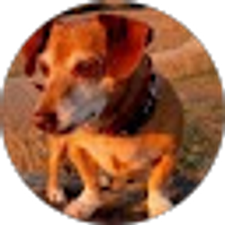 Profile photo of Michael Lee Palmer