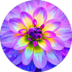 Profile photo of Kathleen