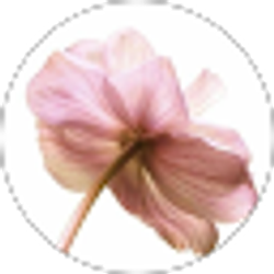 Profile photo of isa