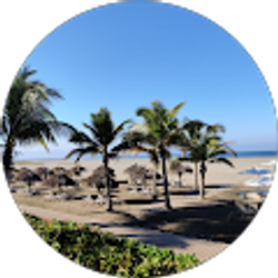 Profile photo of M Hill