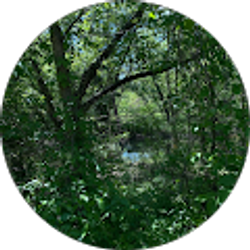 Profile photo of Samia Hernandez