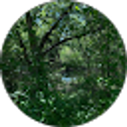 Profile photo of Samia Hernandez