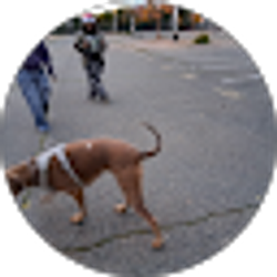 Profile photo of Grant Reardon