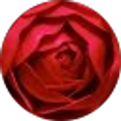 Profile photo of Sharon Johnson
