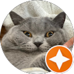 Profile photo of Crystal Wu