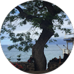 Profile photo of Chris Laeng