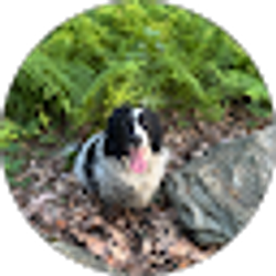 Profile photo of Josiah M