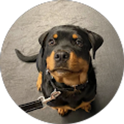 Profile photo of Clara Bailey