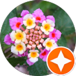 Profile photo of Jessica Spackman