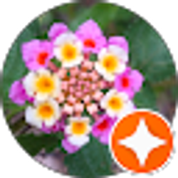 Profile photo of Jessica Spackman