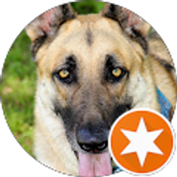 Profile photo of Dylan Yes