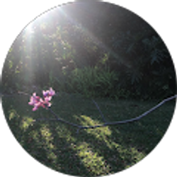 Profile photo of Aiden Asenjo